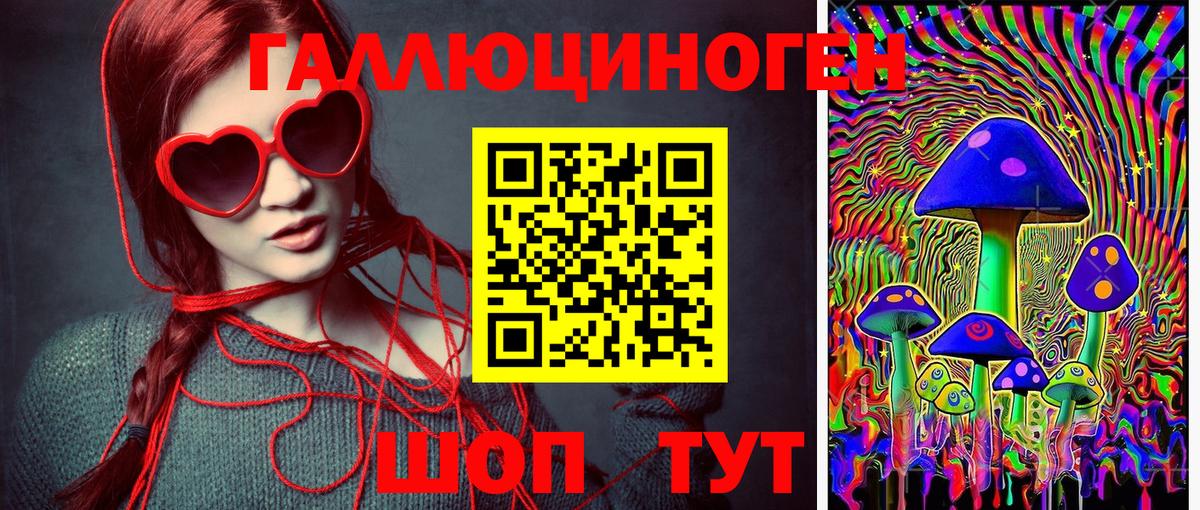Галлюциногенные грибы прущие грибы  Вход с VPN  Новозыбков 