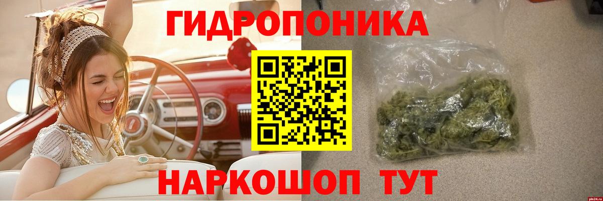 Канабис сатива Новозыбков